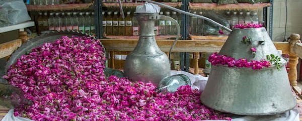 گلاب اصل عطری سنتی با کیفیت ممتاز